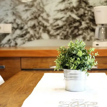 아파트 Tatrzanski Raj 2 *